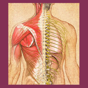 Massage for Scoliosis