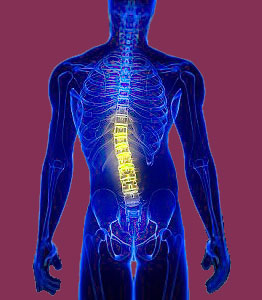 Scoliosis Relief